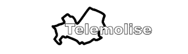 logo telemolise